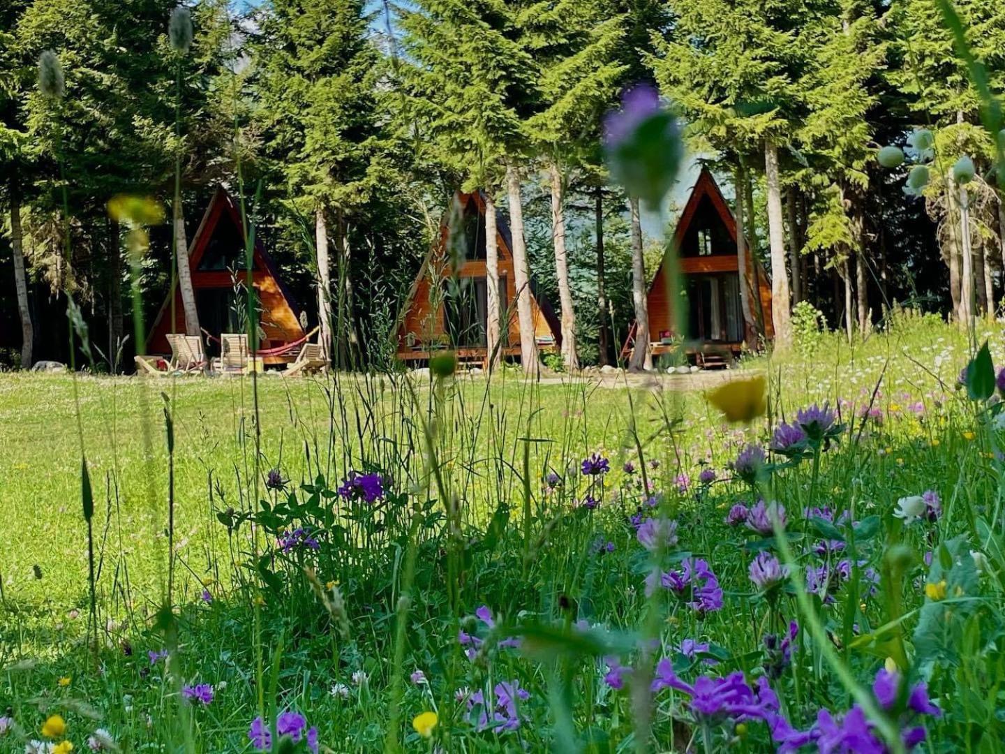 Bude Mestia Cottages Ngoại thất bức ảnh